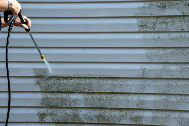 Best Attic Cleanout  in Alliae, NC