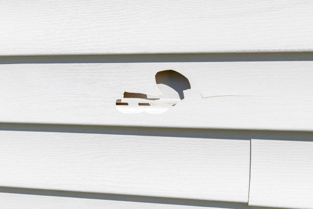 Best Demolition Debris Removal  in Alliae, NC